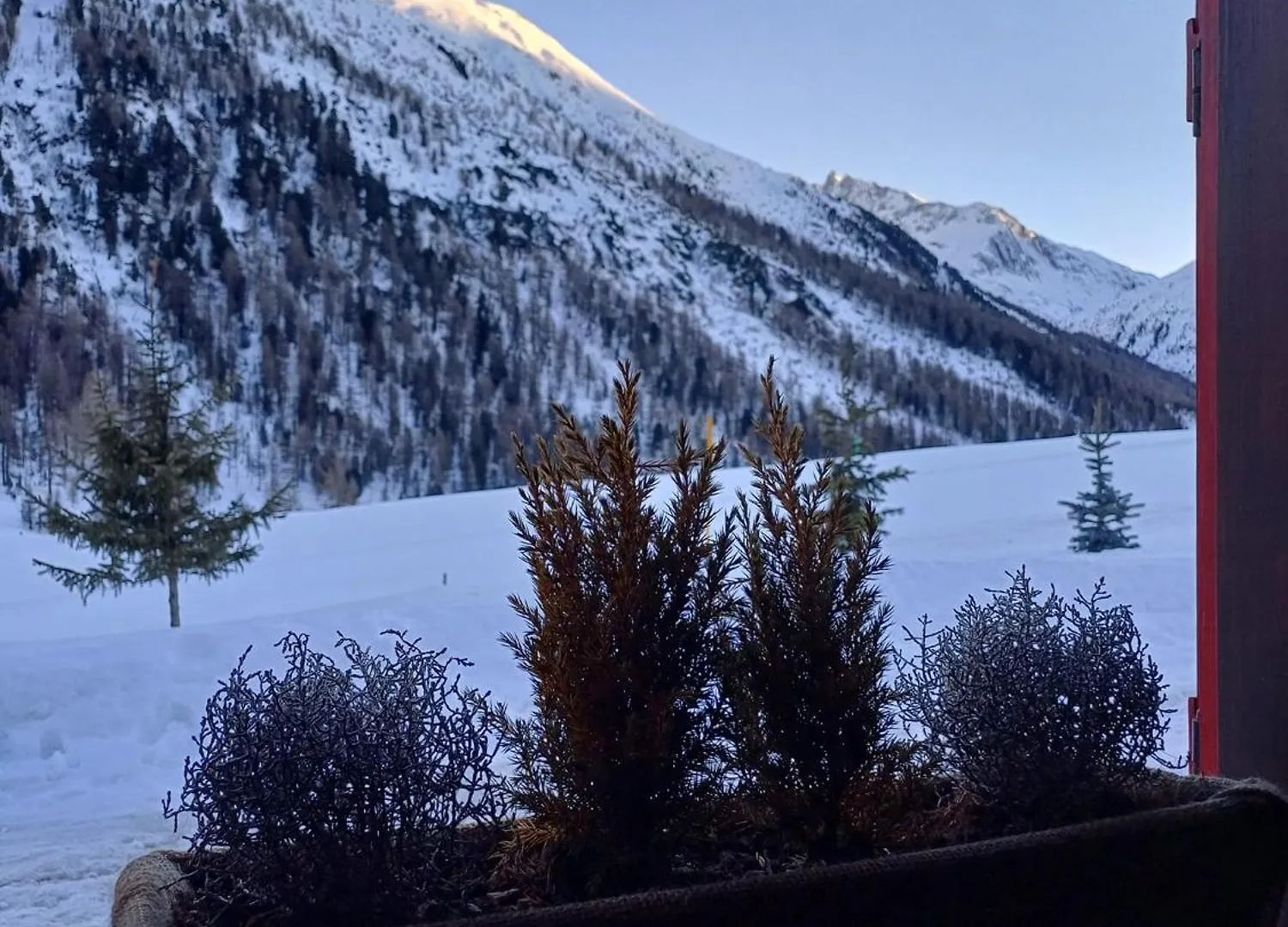 Baita Renzo Villa Livigno Chalet