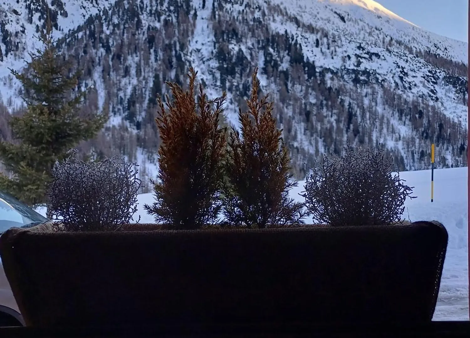 Chalet Baita Renzo Livigno Italy